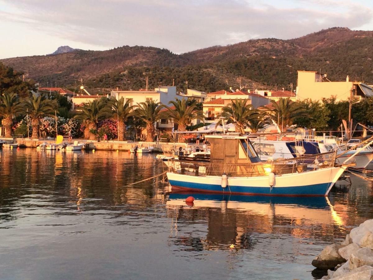 斯卡拉索提罗斯Sunsets In Thassos 1公寓 外观 照片