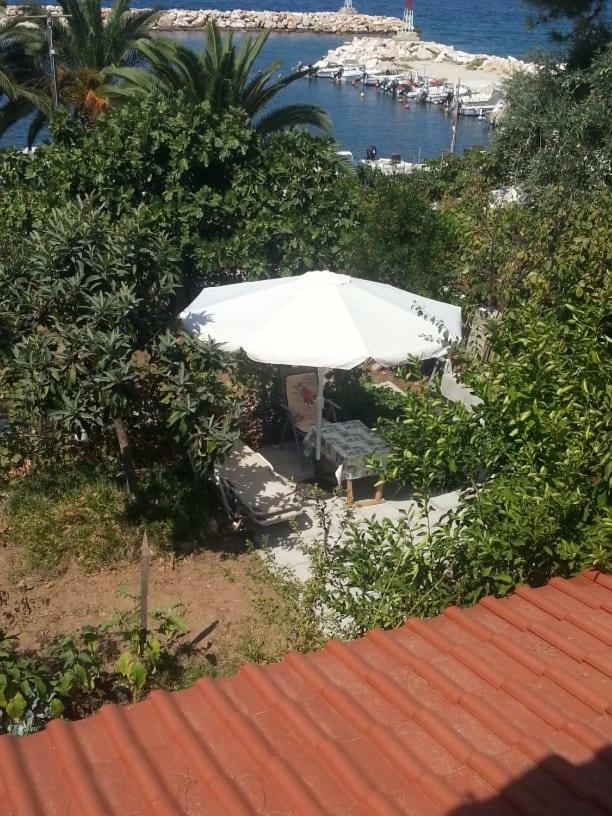 斯卡拉索提罗斯Sunsets In Thassos 1公寓 外观 照片